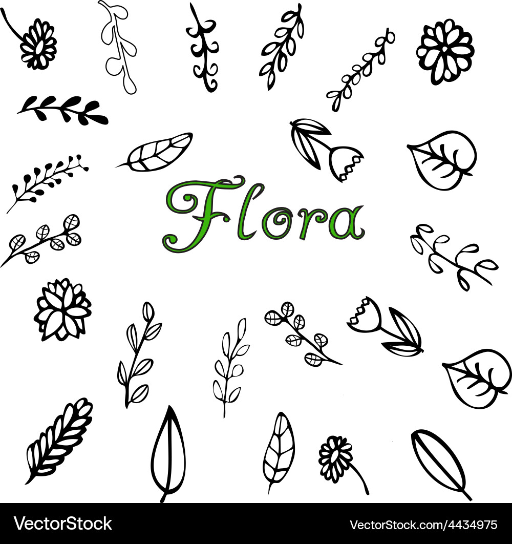 Leafy Branch Sketch Vector Image