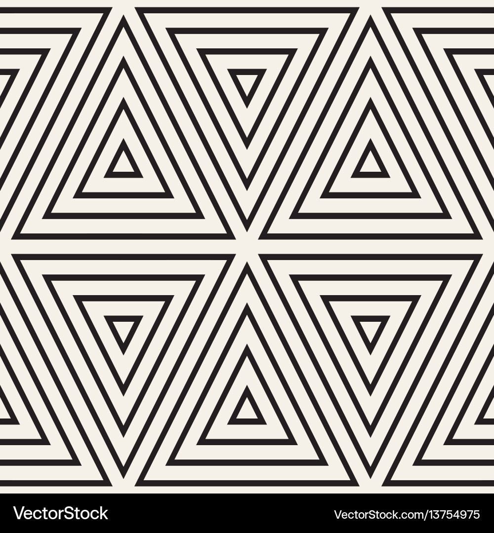 Stylish minimalistic triangle shape lines grid Stylish minimalistic triangle shape lines grid vector image