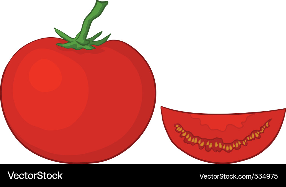 Tomato and segment Vector Image