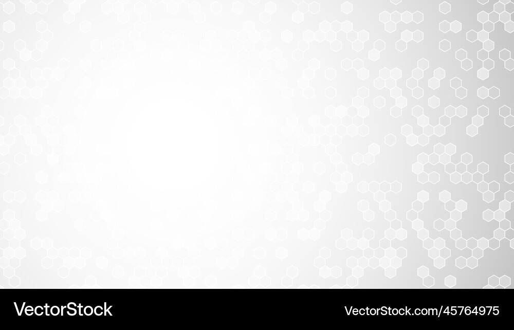 White hexagon background gray hexagonal backdrop White hexagon background gray hexagonal backdrop vector image