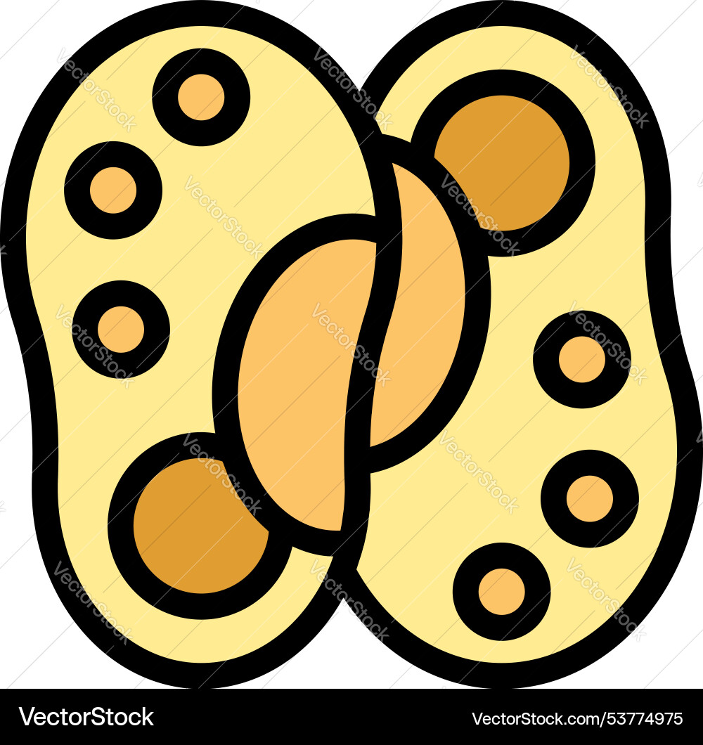 Yellow bean showing inside seeds icon representing Yellow bean showing inside seeds icon representing Vector Image