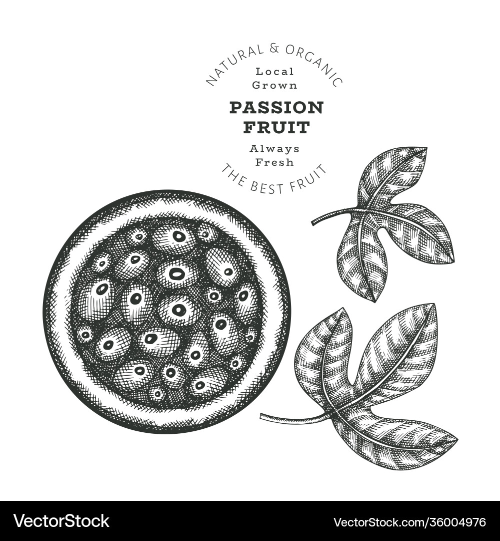 Hand drawn sketch style passion fruit organic Hand drawn sketch style passion fruit organic vector image