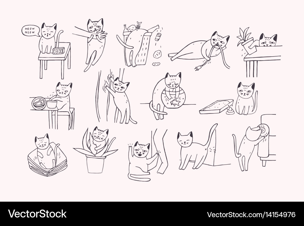 Set of problem with cat behavior kitten meowing Vector Image