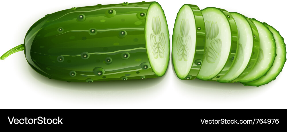 Sliced Cucumber Segment Vector Image
