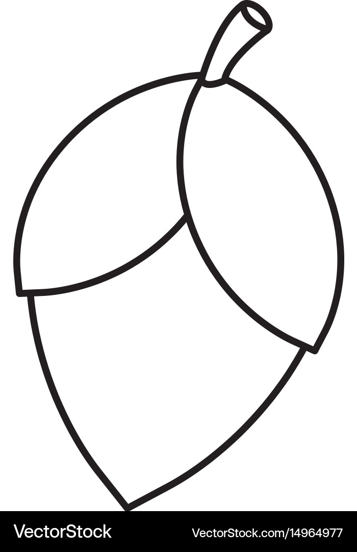 Acorn icon image vector image