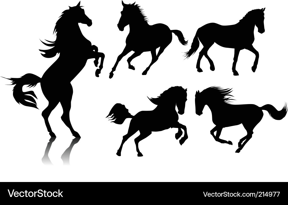 Horse Silhouettes Collection vector image