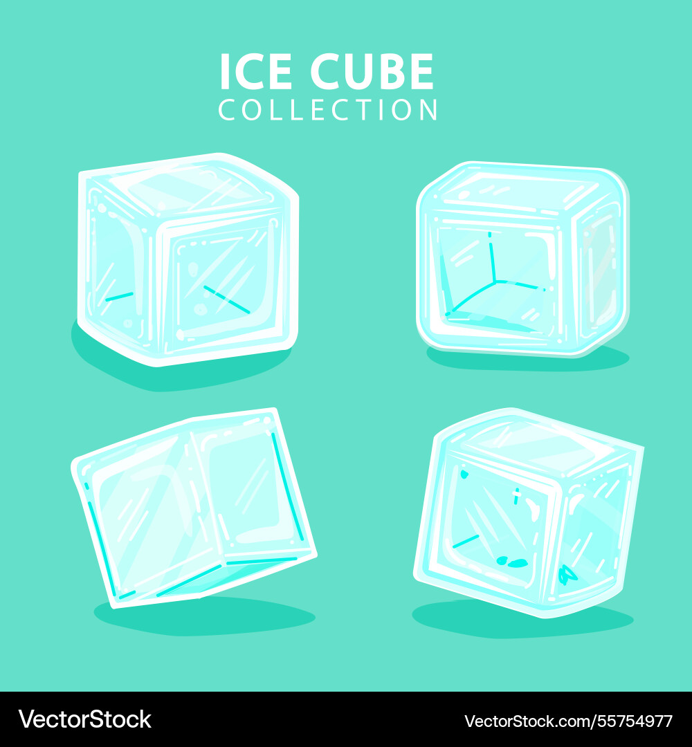 Ice cube collection with flat design Vector Image