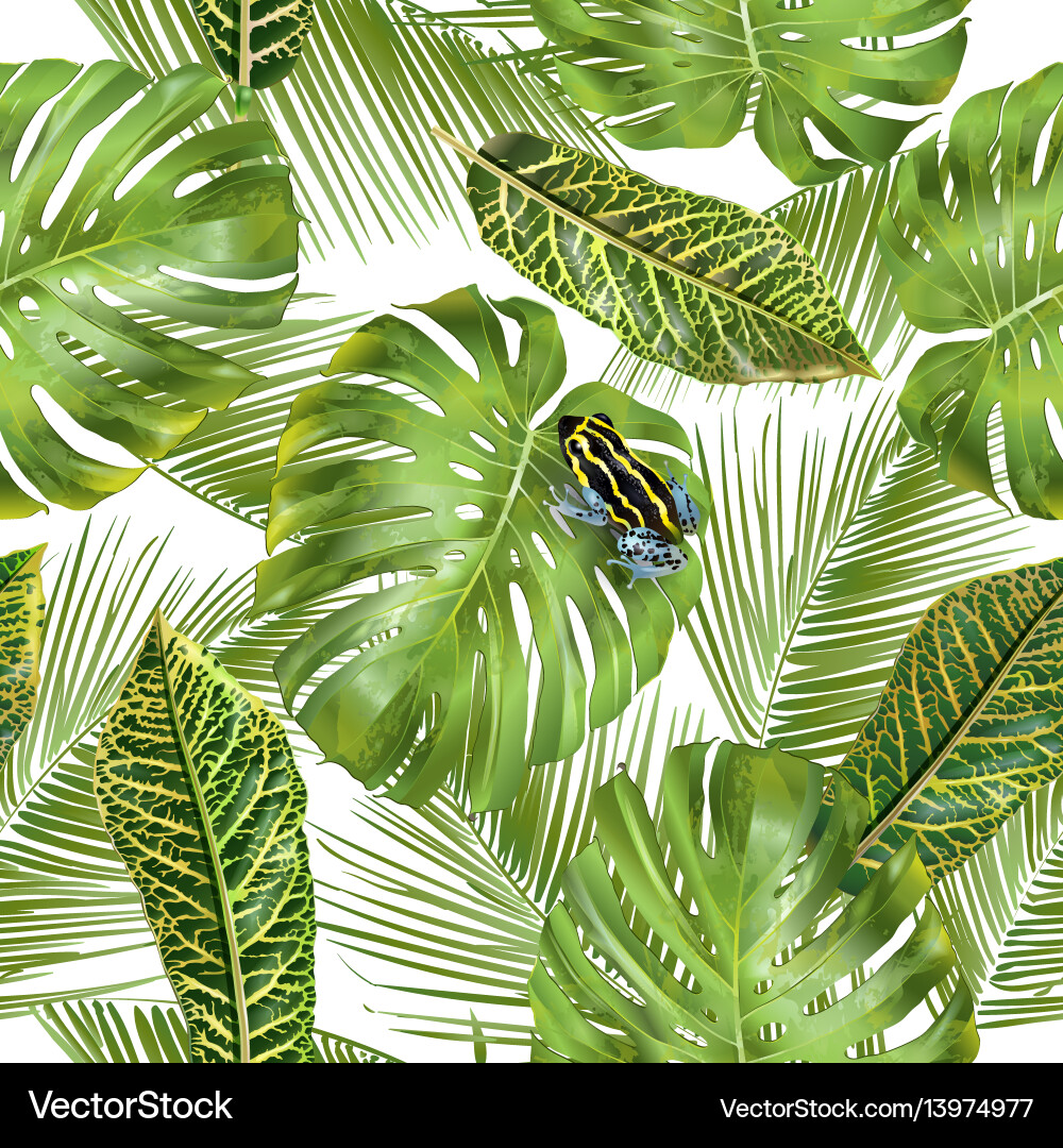 Tropical leaves pattern vector image