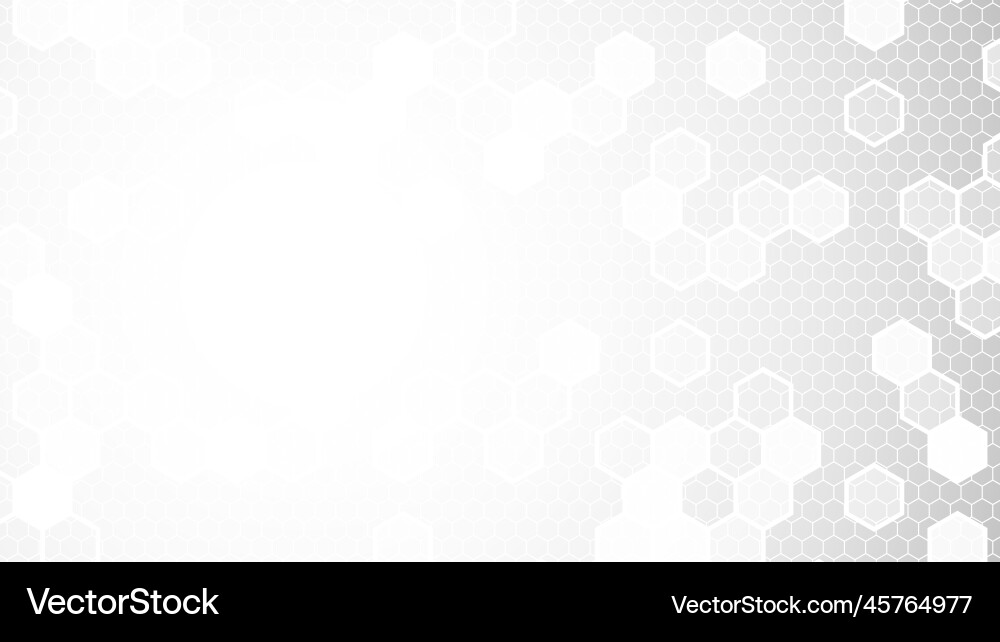 White Hexagonal Pattern Background vector image