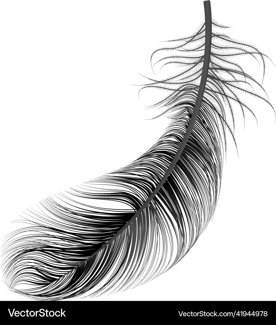 Feather dark realistic composition Royalty Free Vector Image