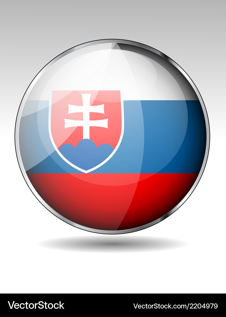 Flag button design elements vector image