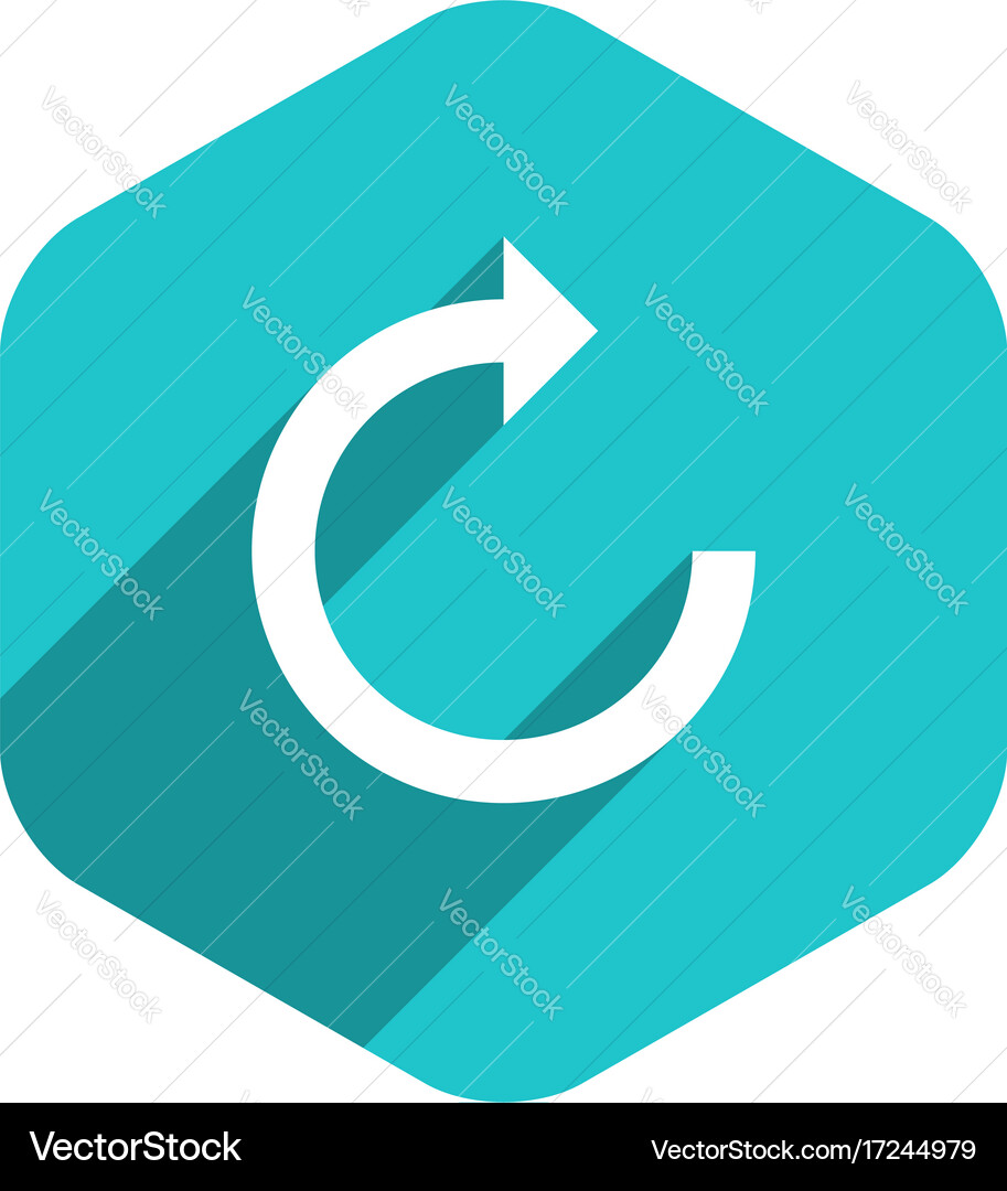 Flat arrow sign reset icon hexagon button vector image