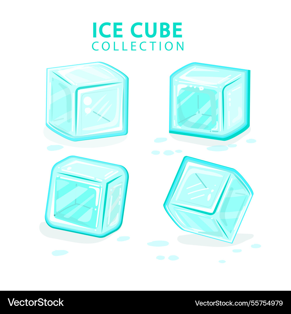 Ice cube collection with flat design Vector Image