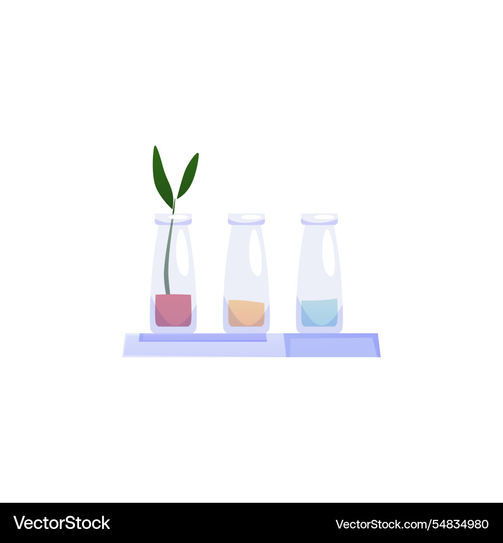 A shelf with three flasks A shelf with three flasks vector image