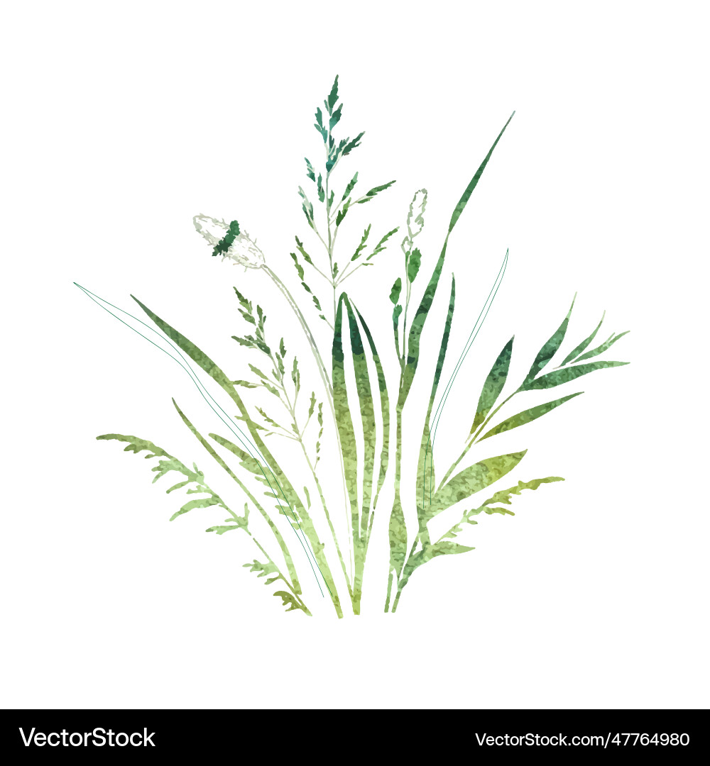 Dried grass floral bouquet 2 Dried grass floral bouquet 2 Vector Image