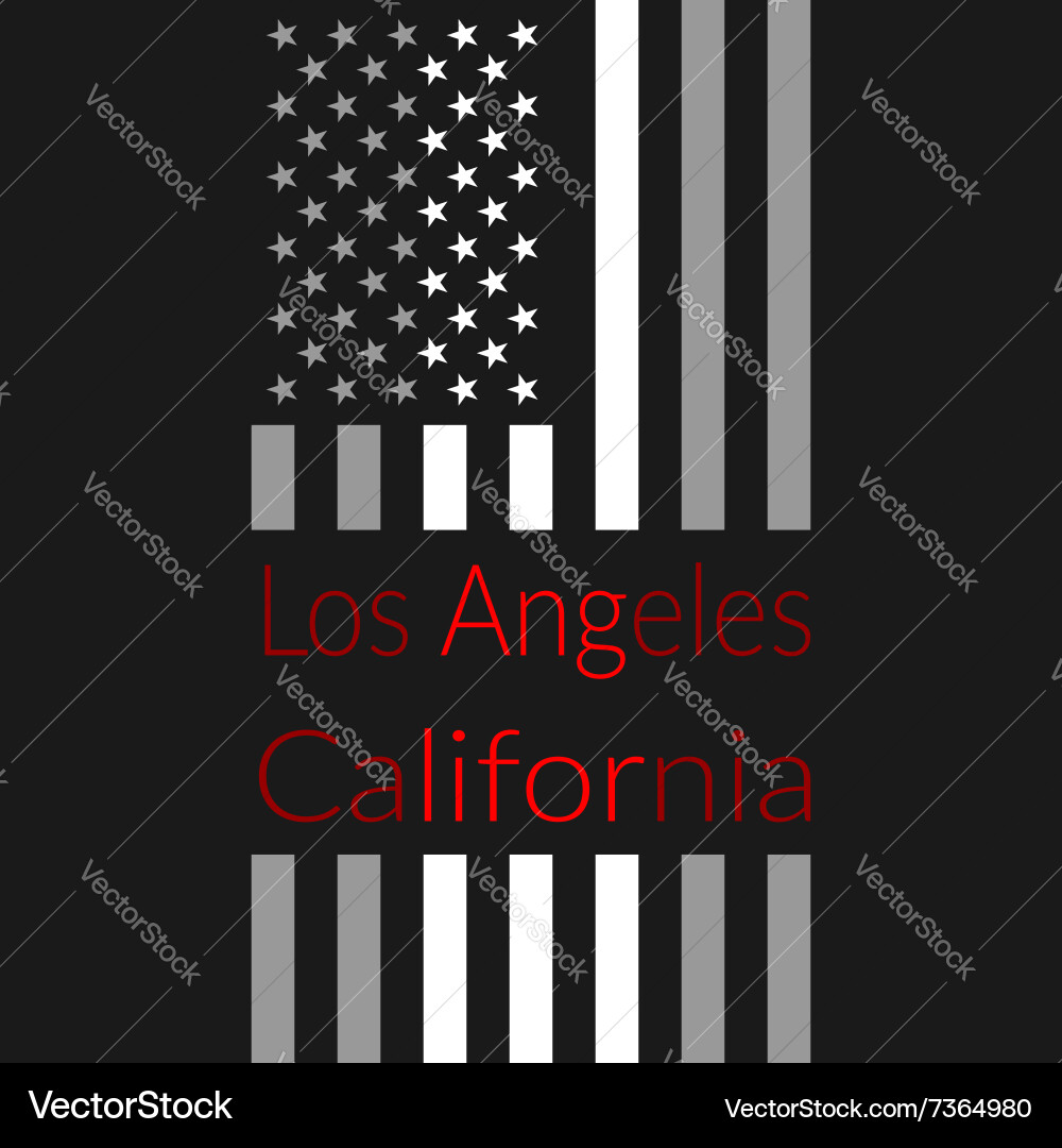 LA Sport T-Shirt - American Flag Vector Image