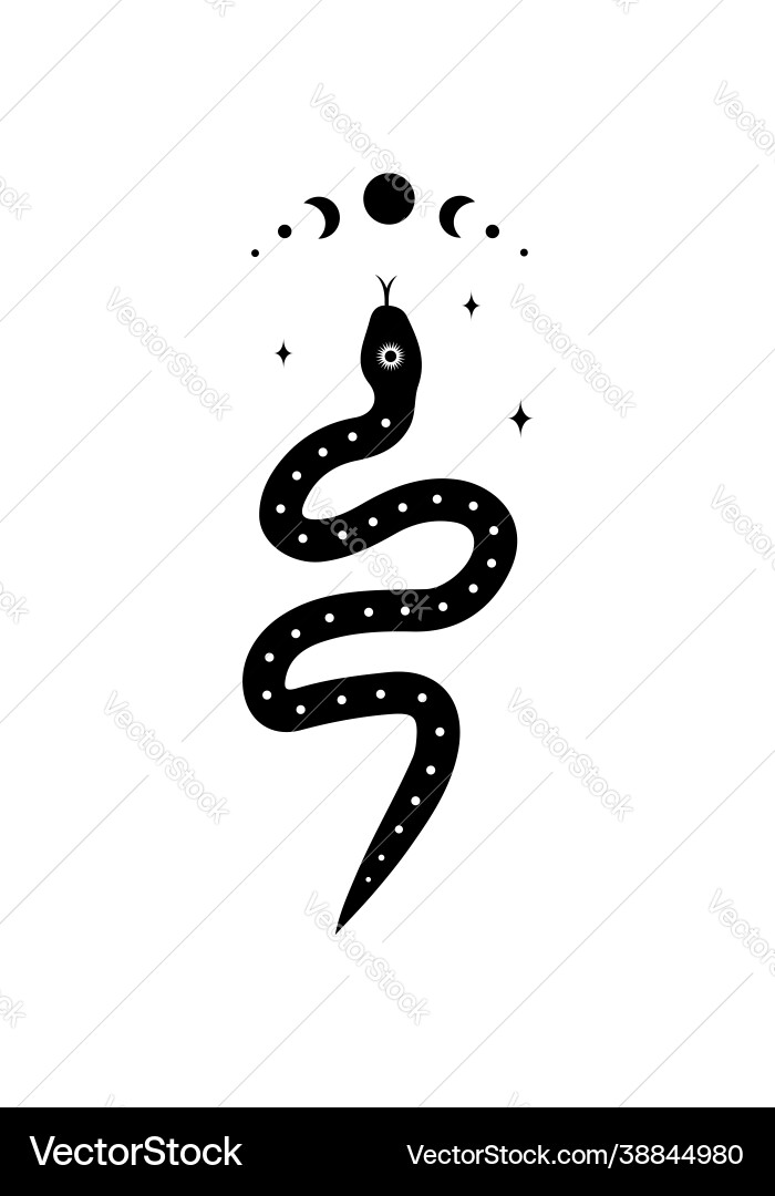 Magic snake in boho style with moon mystical Vector Image
