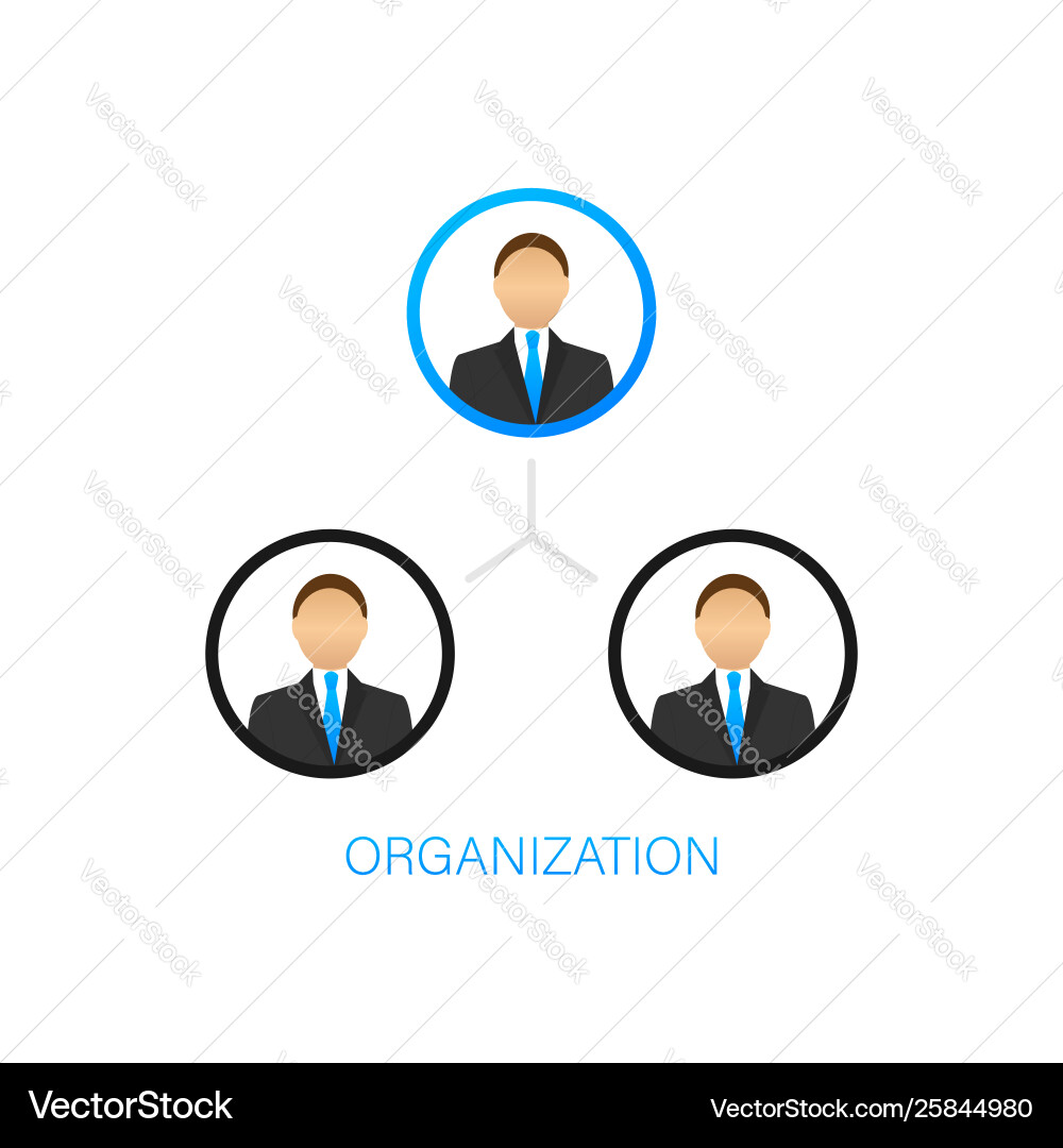Organization chart organizational structure Vector Image