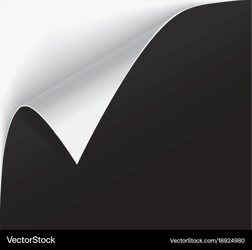 Page curl with shadow on a blank sheet of paper vector image