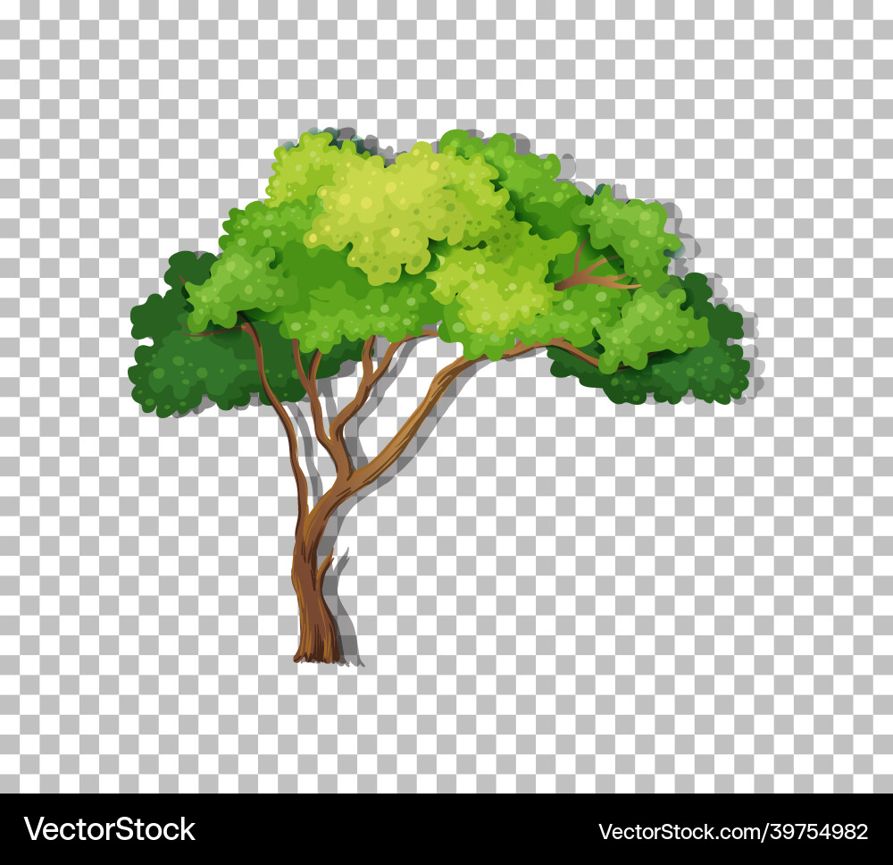 Tree on transparent background Vector Image