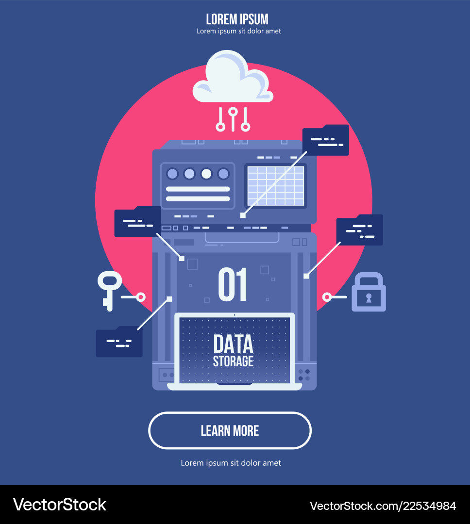 Data Analytics & Network Management vector image