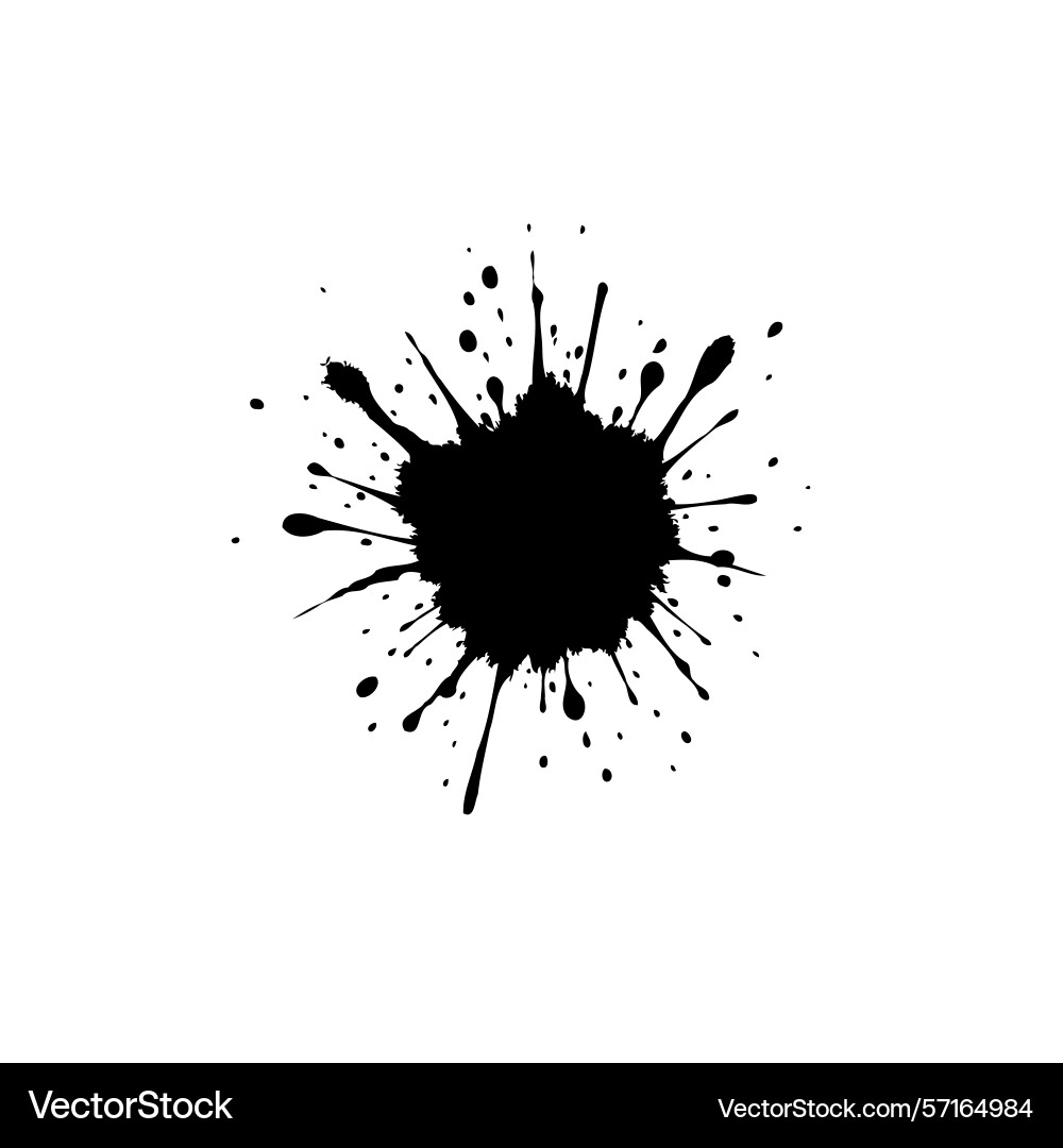 Monochrome ink splash with intricate splatter Vector Image