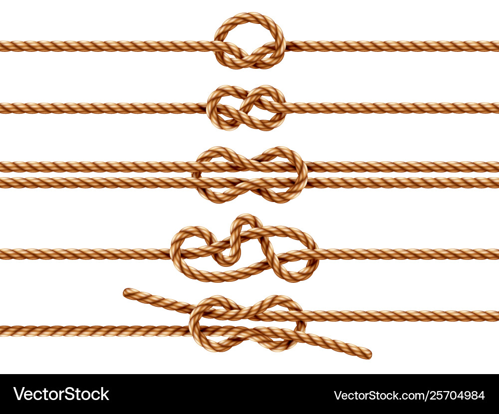 Nautical Knots - Rope Set Vector Image