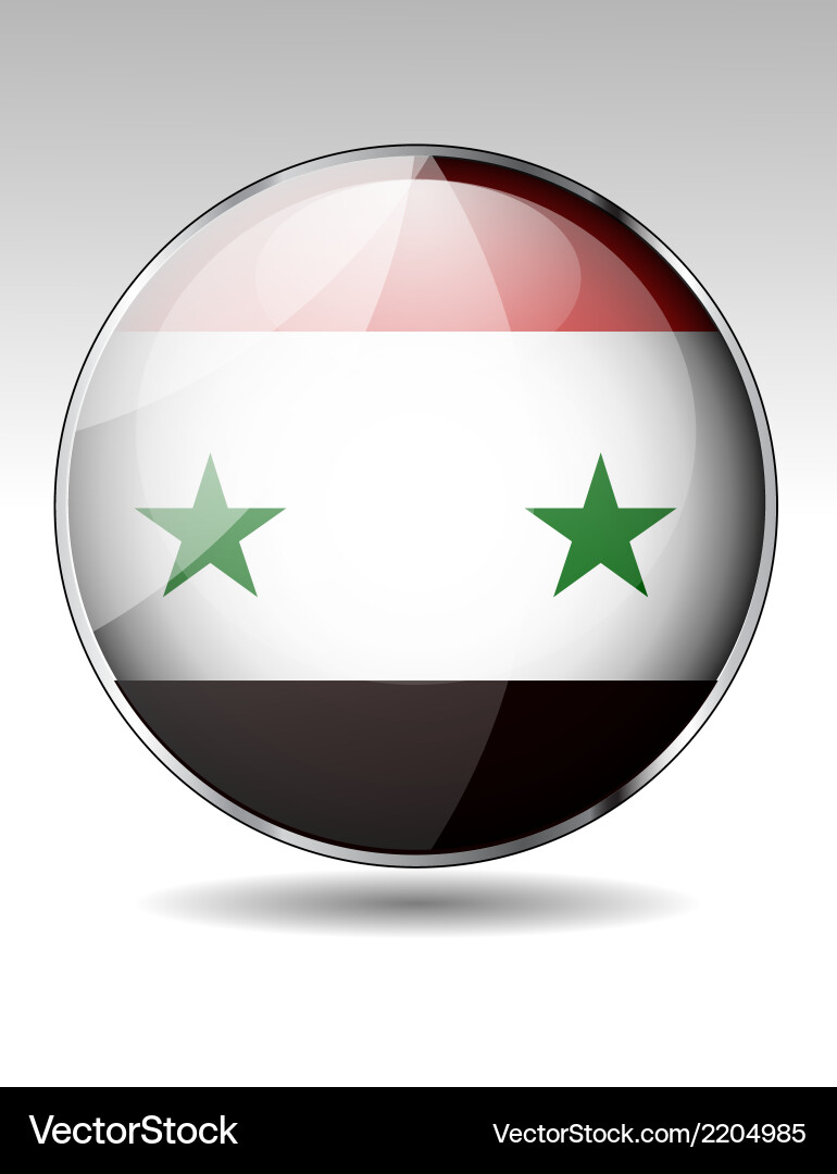 Flag button design elements Vector Image
