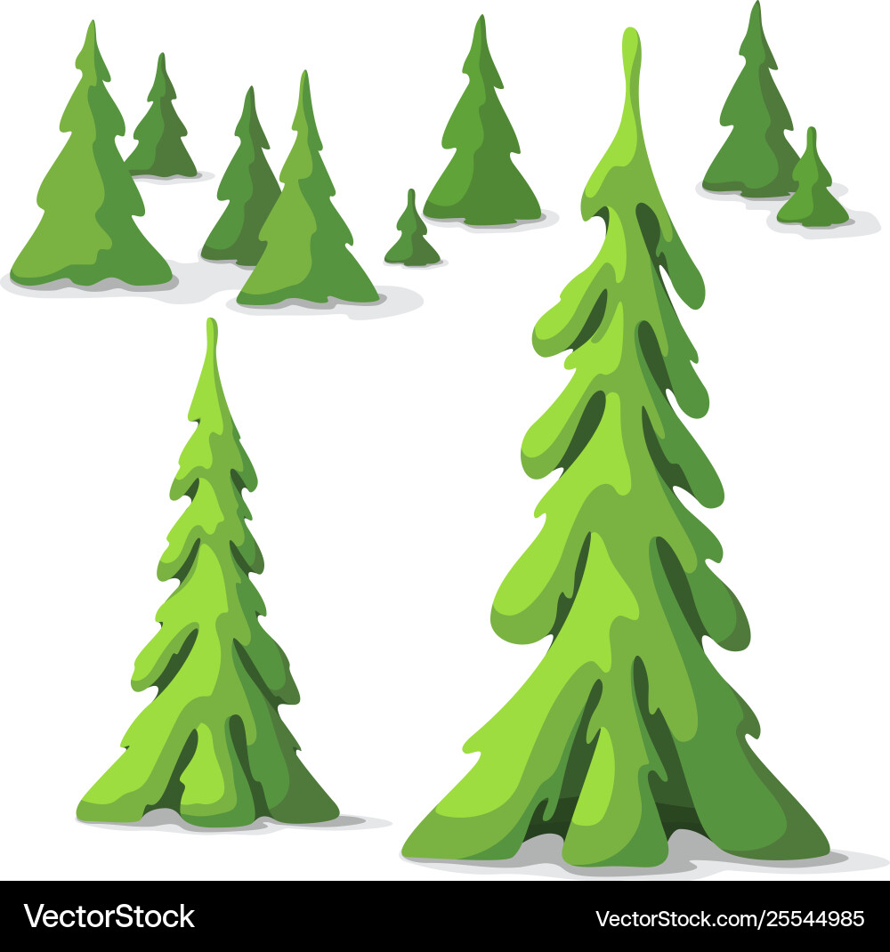 Pine trees different size Pine trees different size vector image