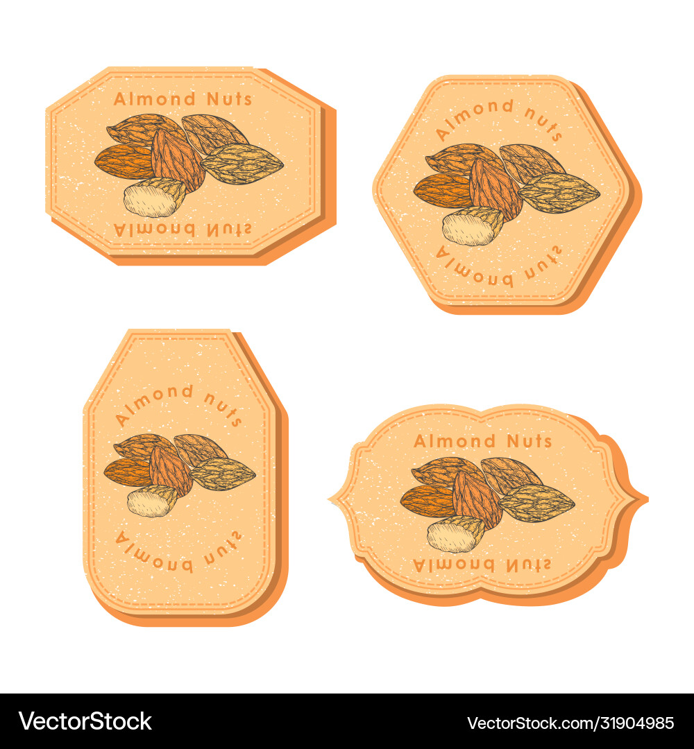 Set with four rectangular labels almond nuts Set with four rectangular labels almond nuts vector image