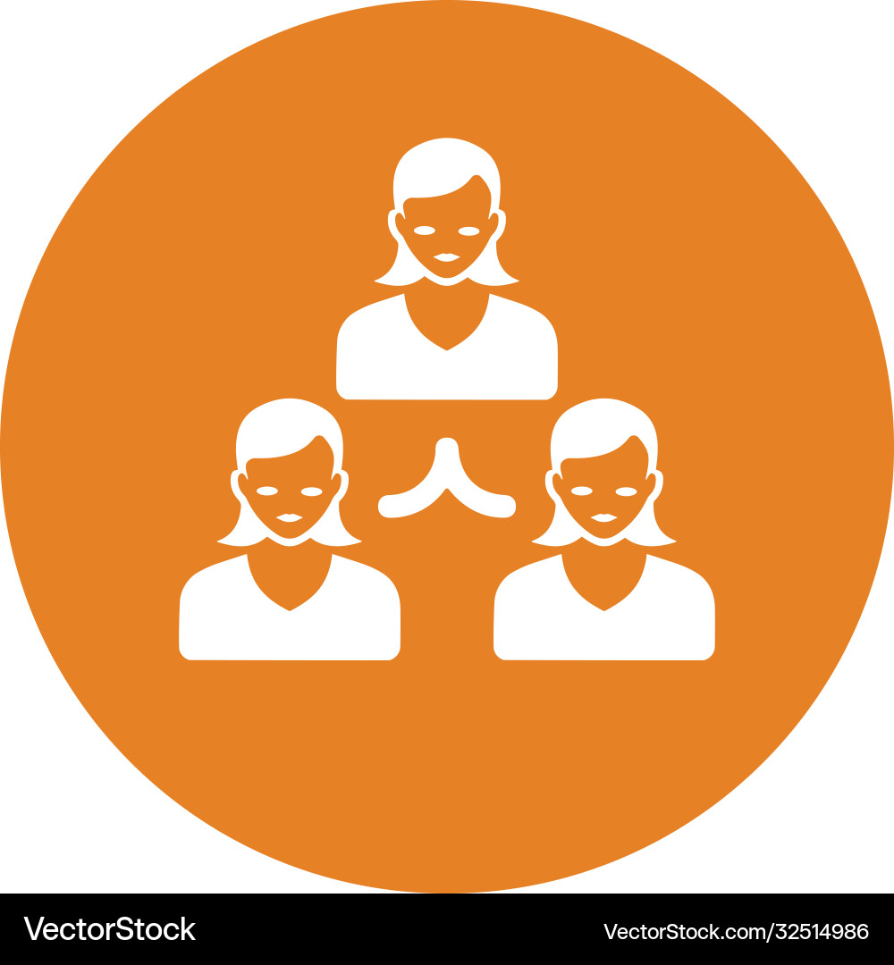 Hierarchy employee structure icon Vector Image