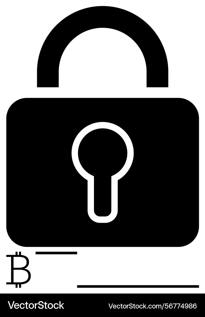 Secure digital asset protection with bitcoin lock Secure digital asset protection with bitcoin lock Vector Image