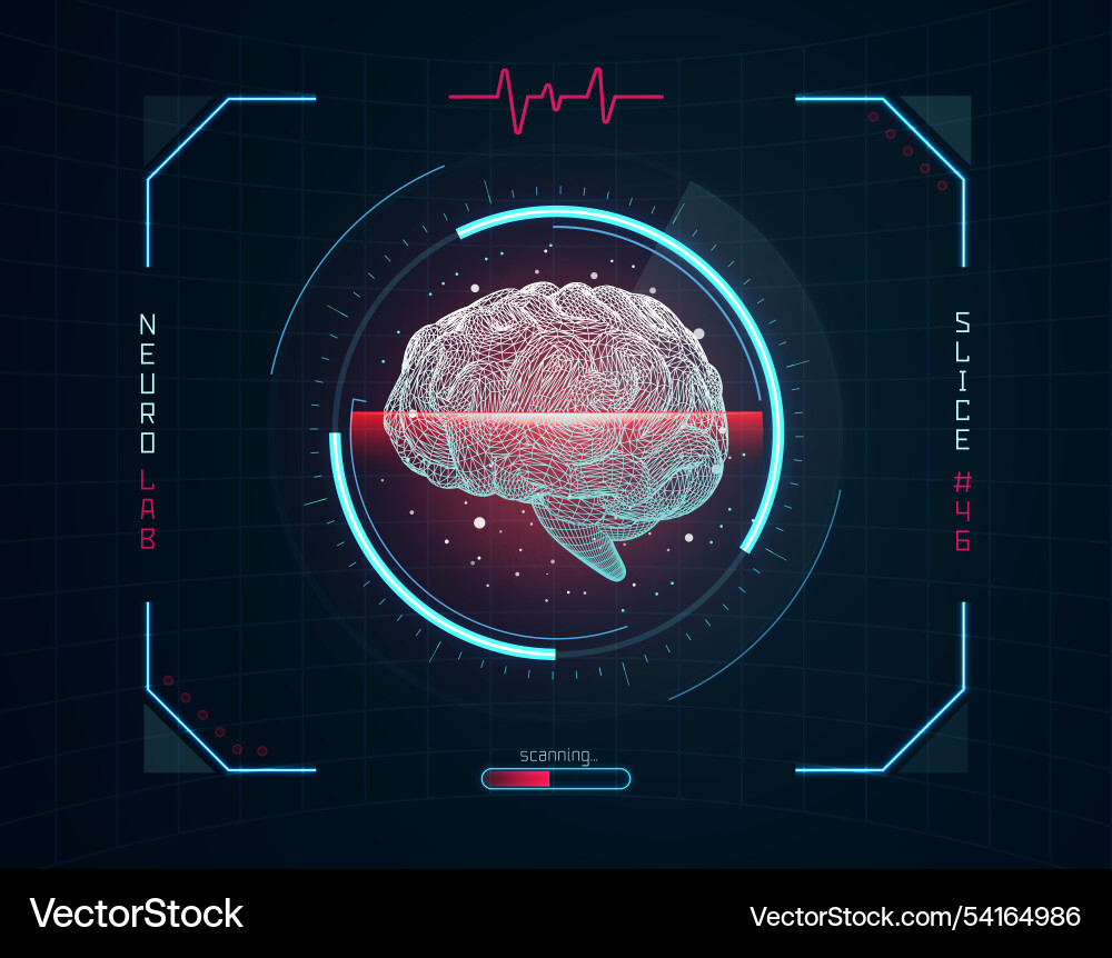 Wireframe of human brain with scanning lines Wireframe of human brain with scanning lines vector image
