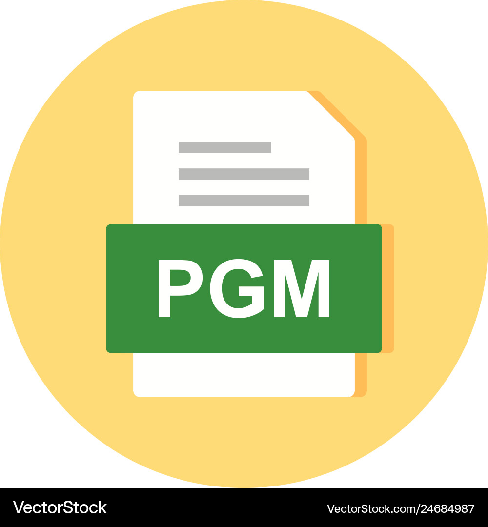 Pgm file document icon Vector Image