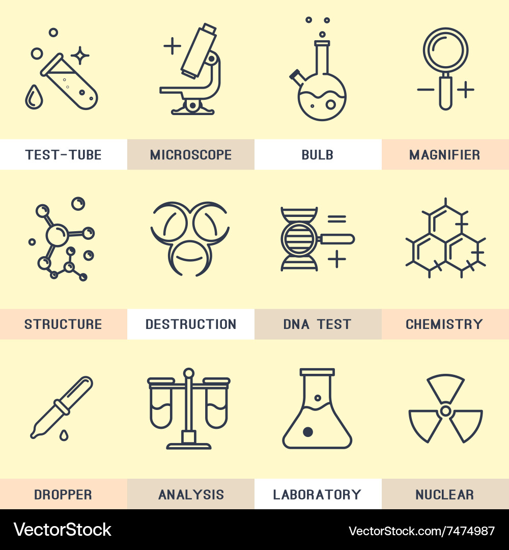 Set of line icons in the flat style Vector Image