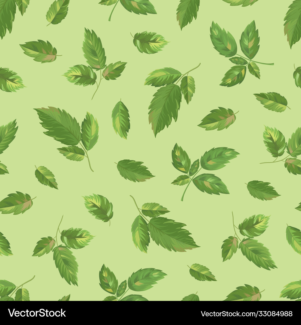 Raspberry leaves seamless pattern-01 Vector Image