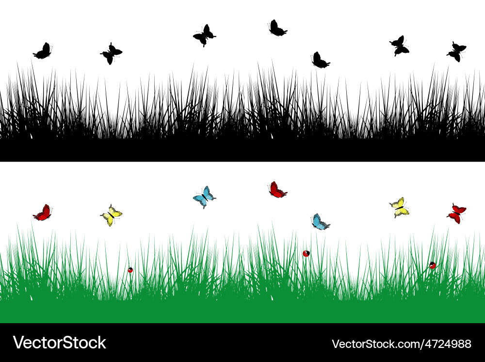 Spring borders with grass and butterflies Vector Image