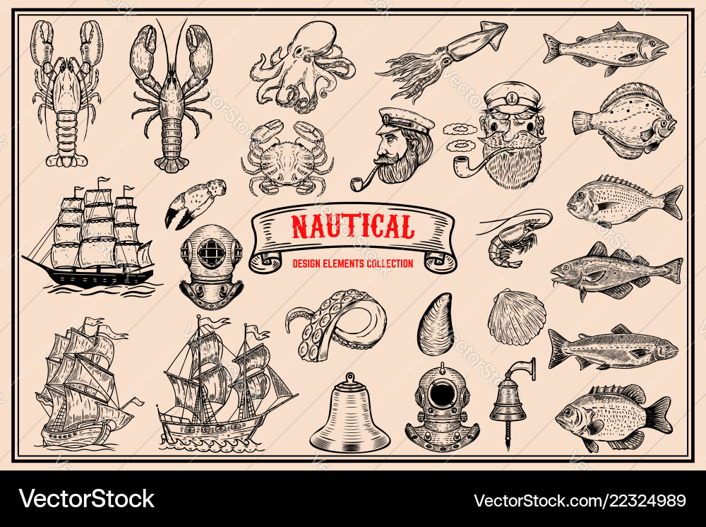 Big set of design elements for nautical emblems vector image