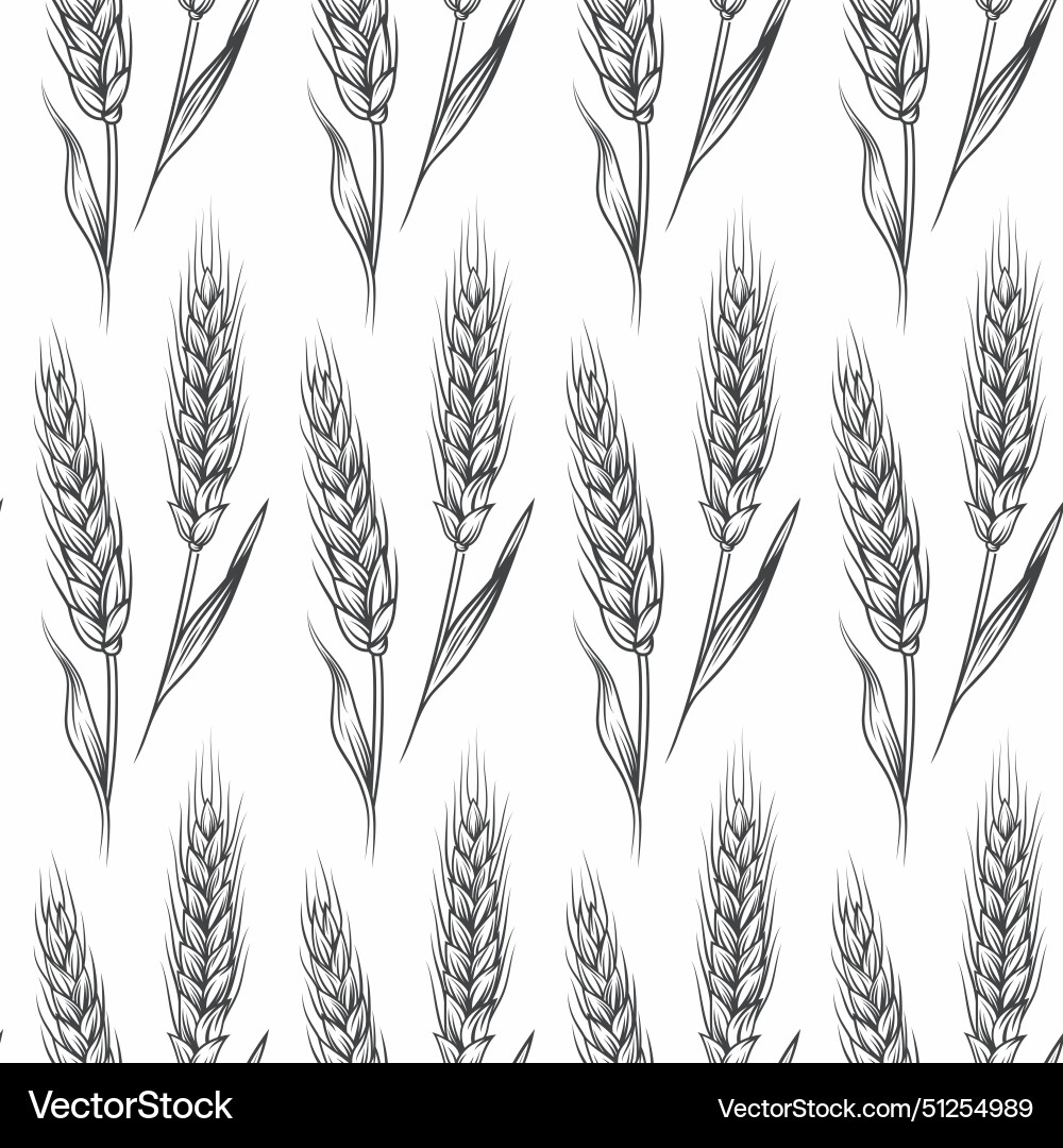Seamless pattern with hand drawn Royalty Free Vector Image