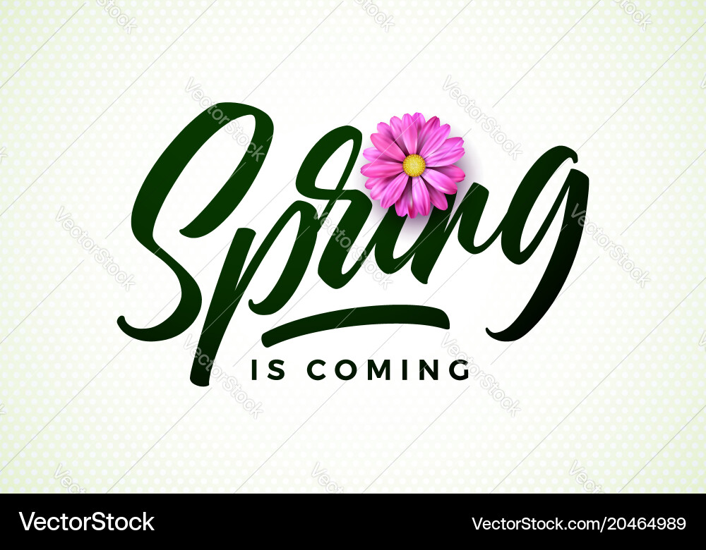 Spring Flowers Royalty Free Vector Image - VectorStock