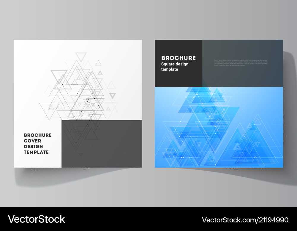 Minimal editable layout of two square Minimal editable layout of two square vector image