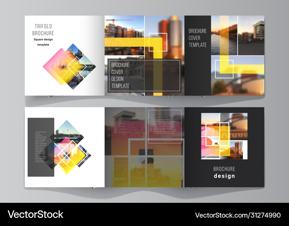 Minimal editable layout square Vector Image
