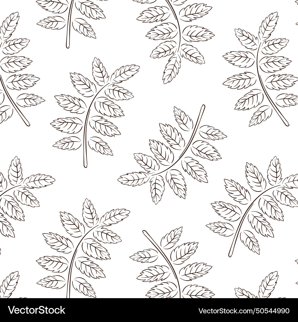 Seamless pattern with rowan leaf in line art style Seamless pattern with rowan leaf in line art style Vector Image