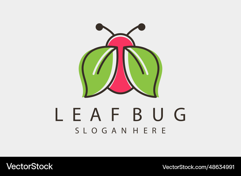Leaf bug Vector Image