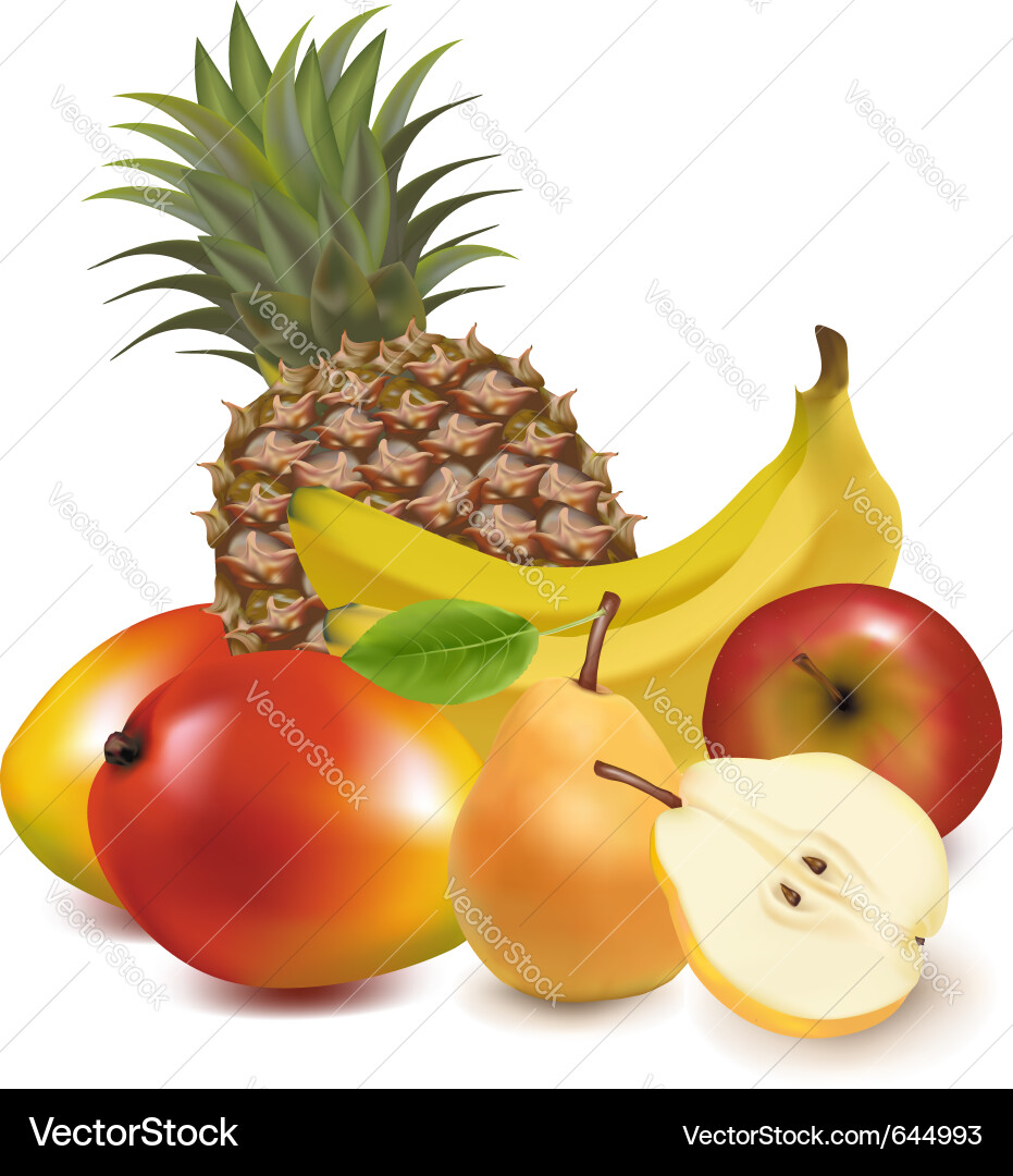 Tropical fruit Royalty Free Vector Image - VectorStock