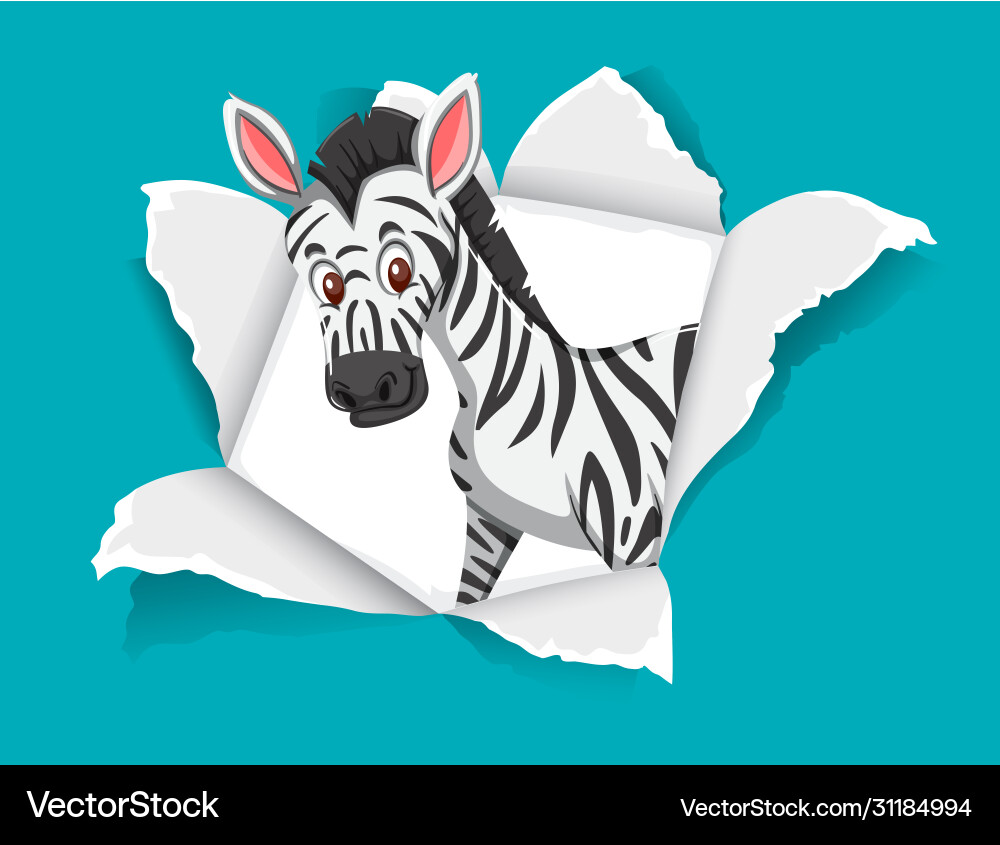 Background template design with wild zebra vector image