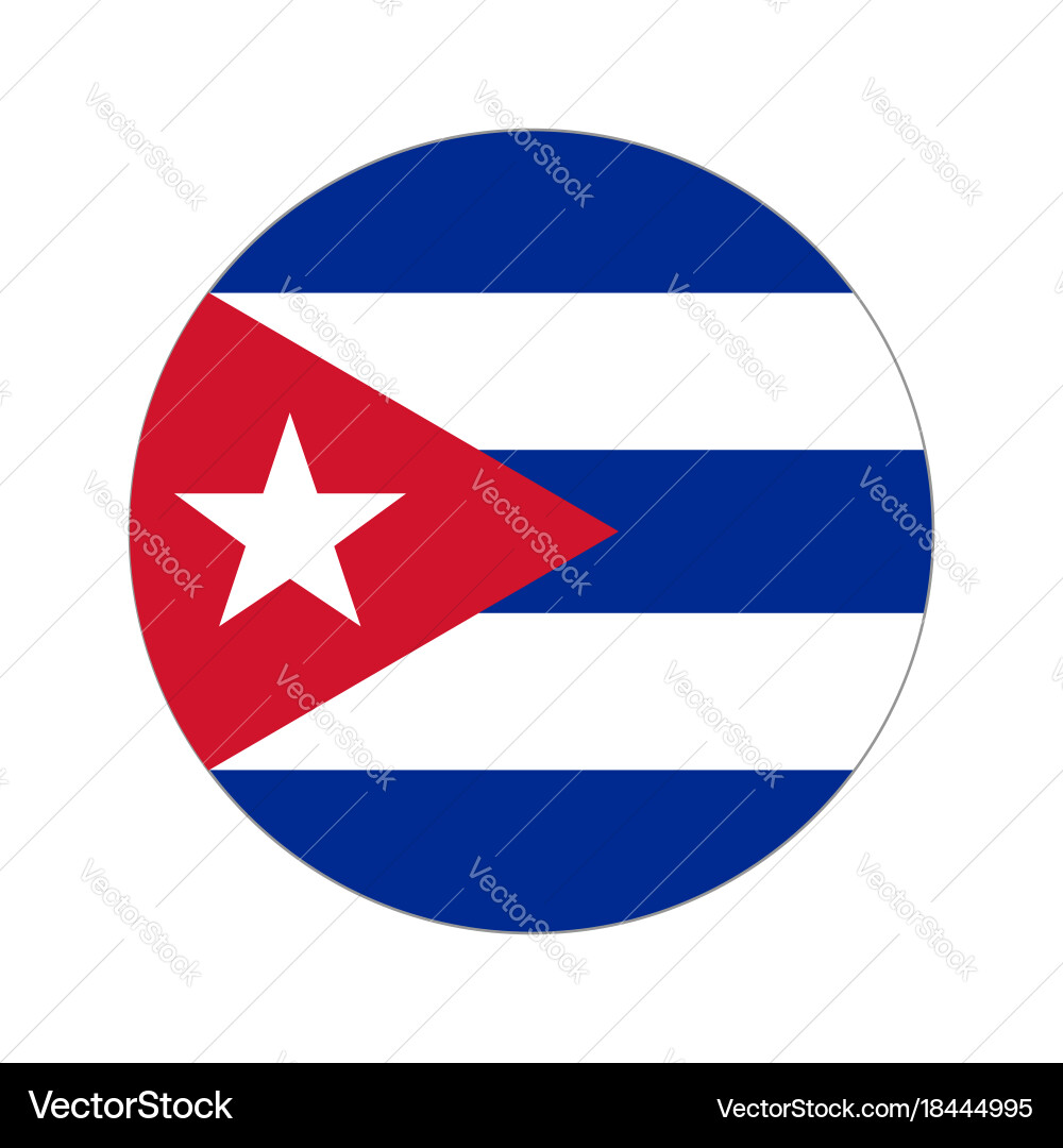 Circular Flag Symbol Vector Image