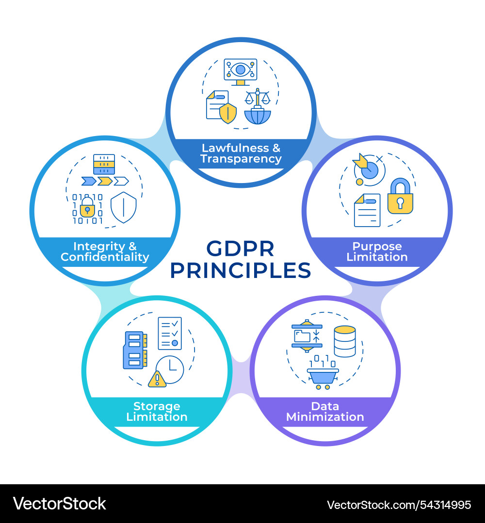 Gdpr principles infographic circles flowchart Vector Image