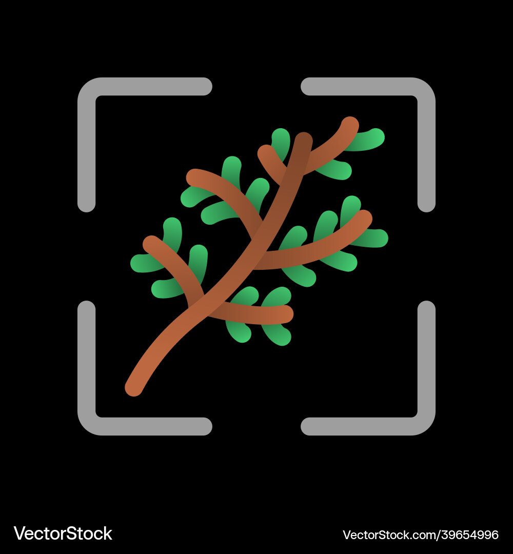 Abstract single spruce branch icon isolated Abstract single spruce branch icon isolated vector image