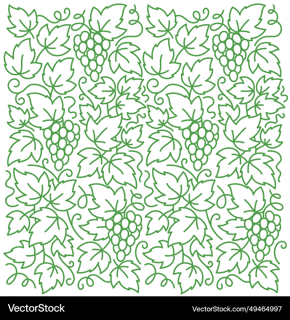 Grape vine pattern branches and leaves vector image